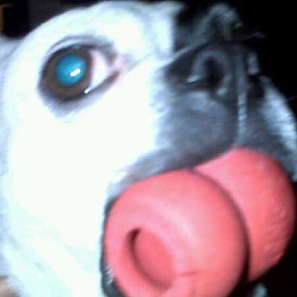 Meet your Posher, Cynthia - Picture 5 of 10